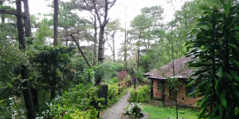 瑪利諾生態保護區