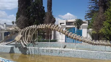 El Kram