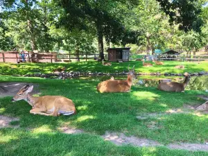 FAWN-DOE-ROSA Wildlife Educational Park