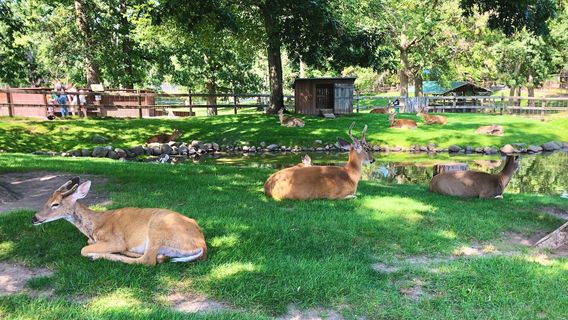 FAWN-DOE-ROSA Wildlife Educational Park