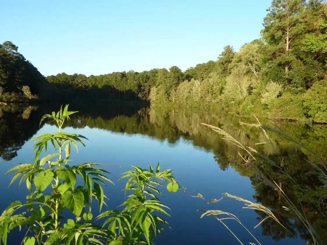 Hotels near Lake Peachtree