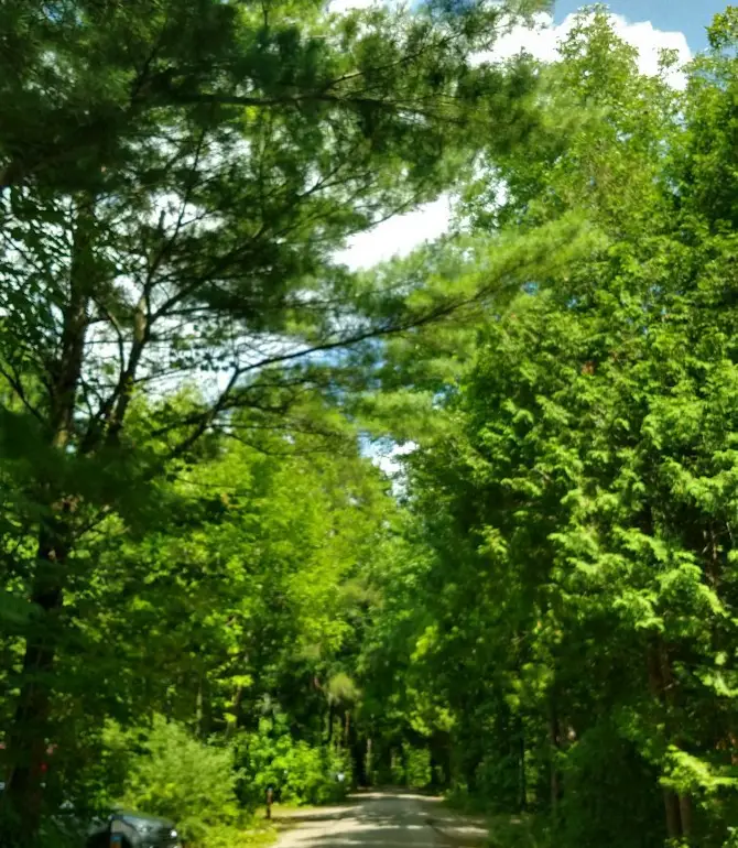 Oro-Medonte