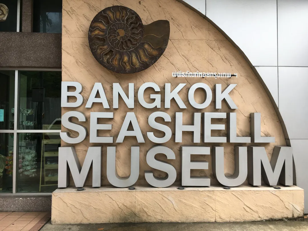 3_Bangkok Seashell Museum