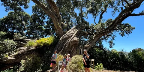 Butler Point Whaling Museum