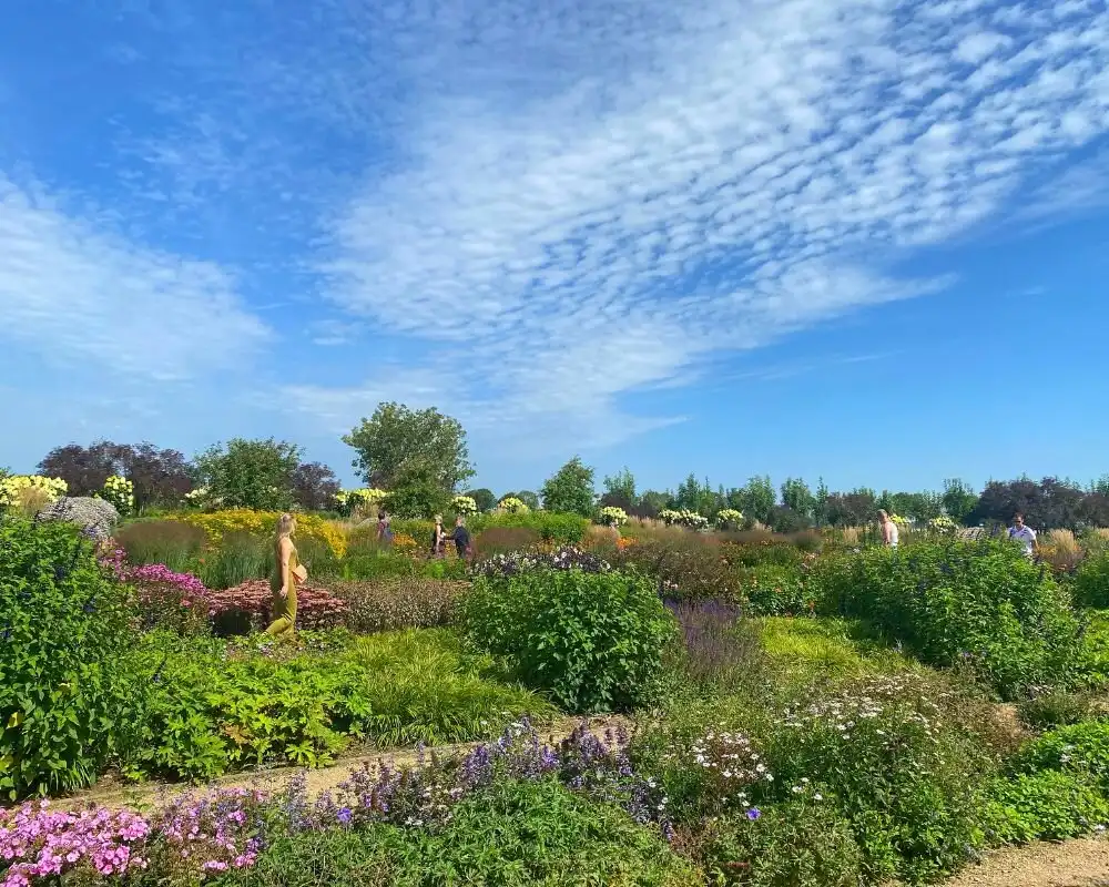 Hotels near The Gardens of Appeltern