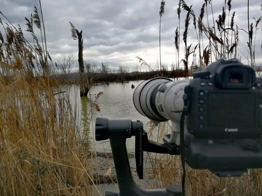 Hôtels à proximité de : Riserva Naturale Lago di Montepulciano