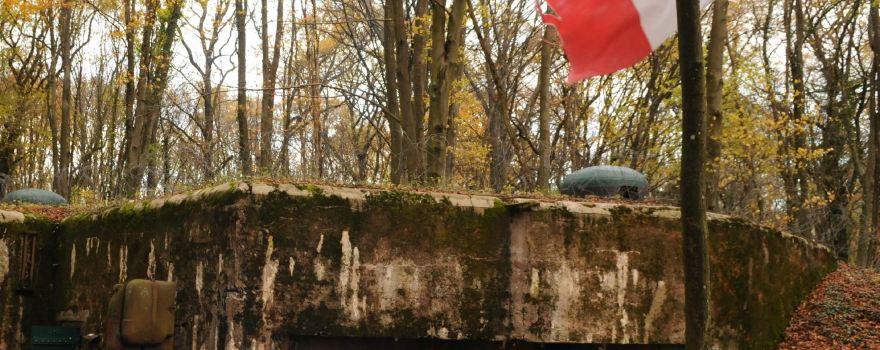 Casemates du Huberbusch - 164e RIF (Ligne Maginot)
