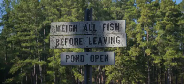 Hotels in Walker County