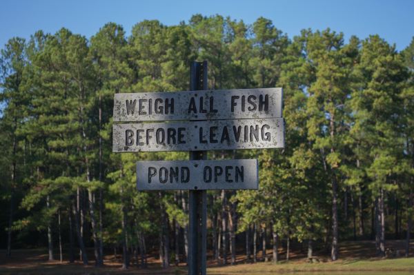 Walker County Lake