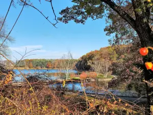 W.K. Kellogg Bird Sanctuary