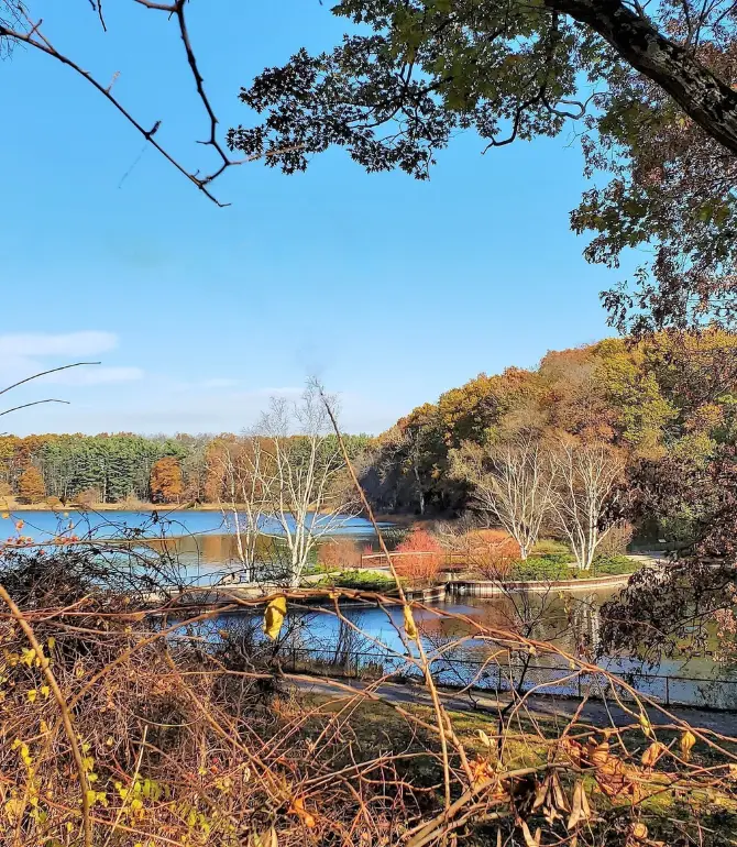 South Gull Lake