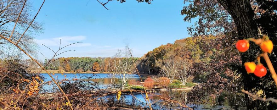 Kellogg Bird Sanctuary
