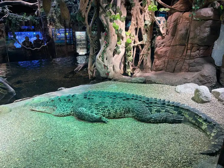 Hotel in zona Skansen Aquarium