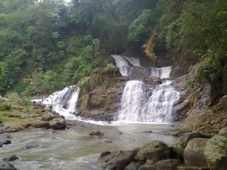 Hotel di Kecamatan Sumowono