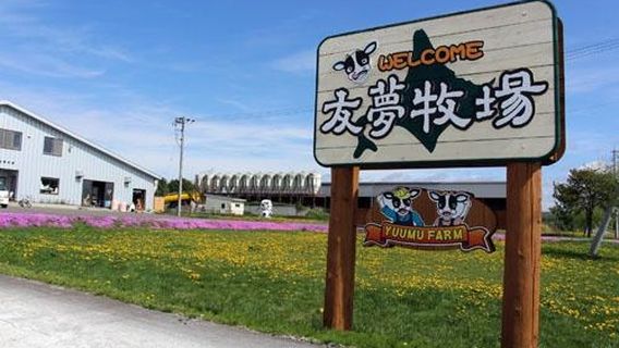 Shintoku