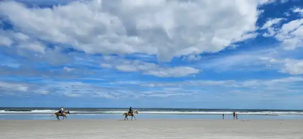 Hotels in Crescent Beach