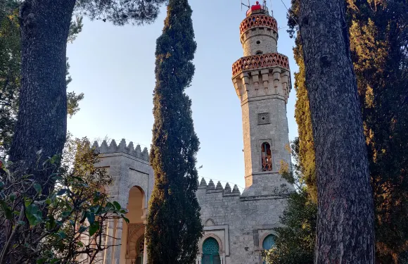 塞爾瓦迪費塞努