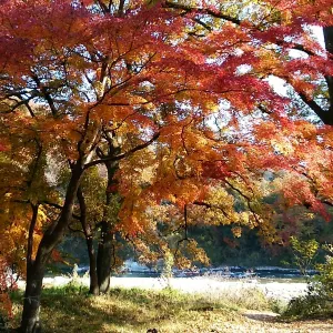 月の石もみじ公園