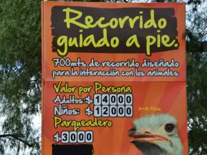 Granja de Avestruces
