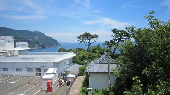 Dontsuku Shrine