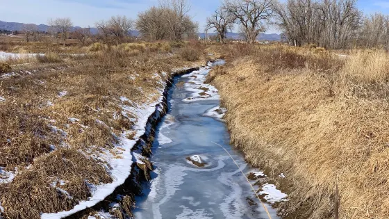 Arapaho Bend Natural Area