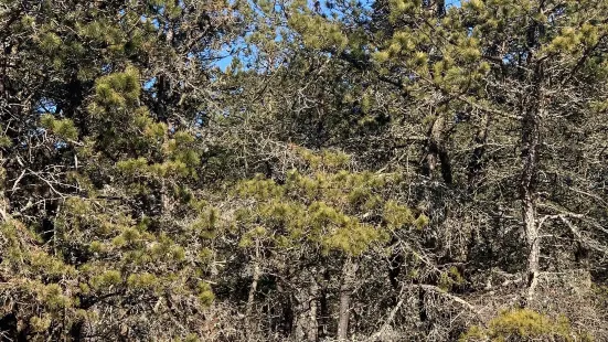 Napeague State Park