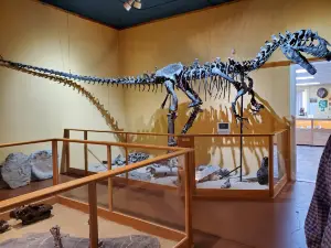 Glenrock Paleon Museum