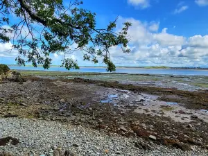 Parc Arfordirol Penrhos Coastal Park