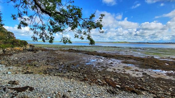 Parc Arfordirol Penrhos Coastal Park