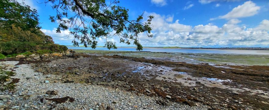 Parc Arfordirol Penrhos Coastal Park