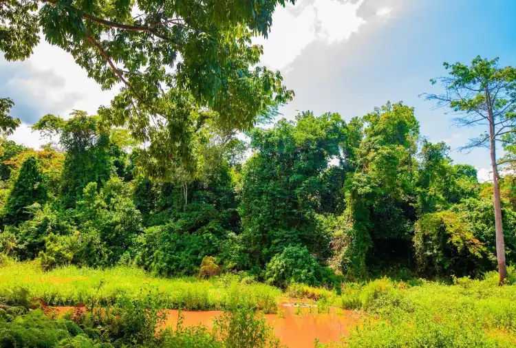 Hotels near Reserve Naturelle de Dahliafleur