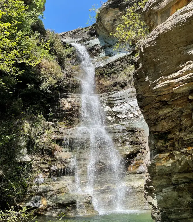 Vizitsa