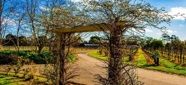 Hotels in Balnarring
