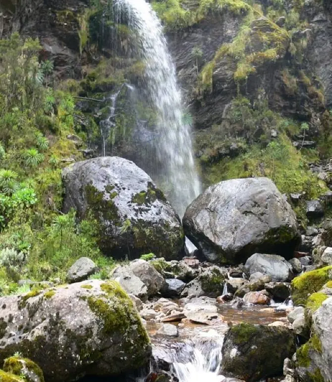 Busongora