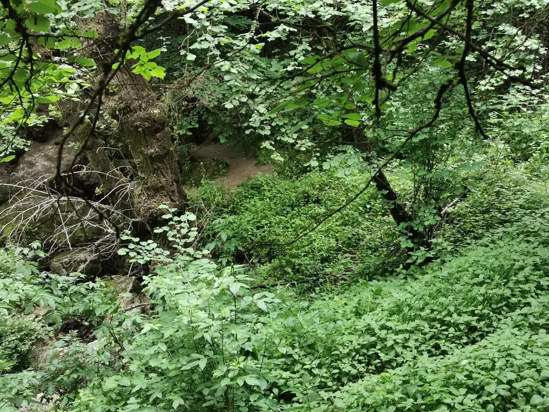 3_Sumidero del Río Guareña