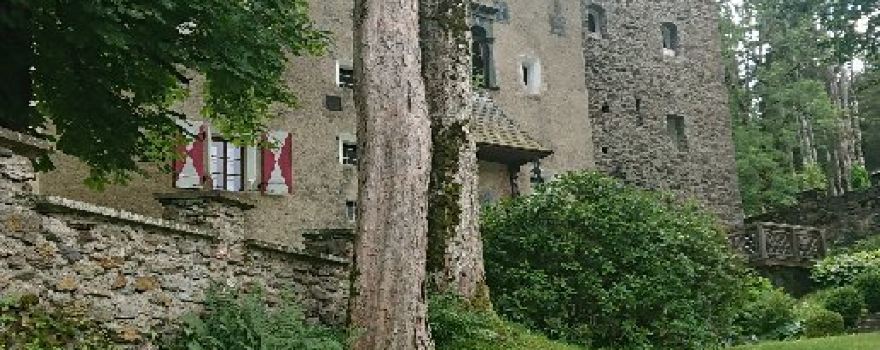 Schloss Thurnhof