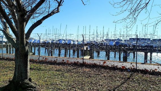 Havre de Grace