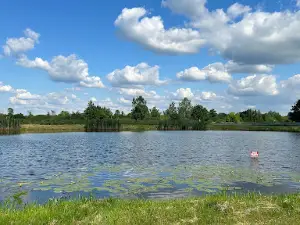Magnuszew