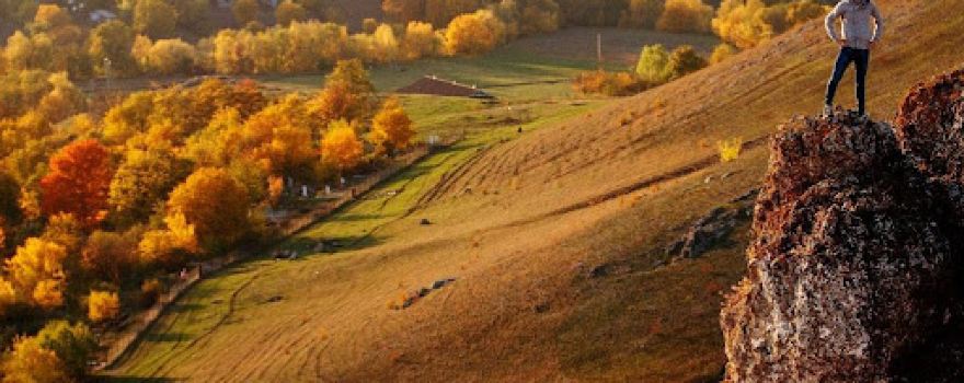 Rezervația Naturală Feteşti