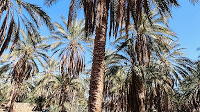 EL KAABI الكعبي