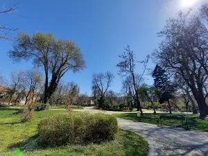 City Park