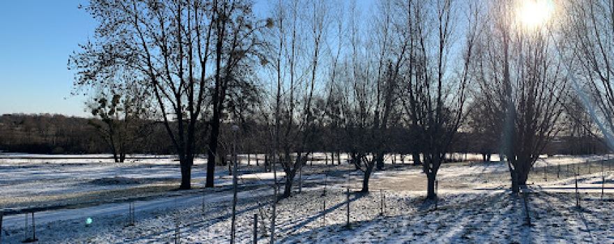 Gorodskoy Park