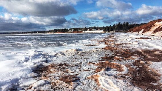 Tea Hill Park & Beach