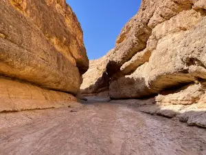 Mides Oasis
