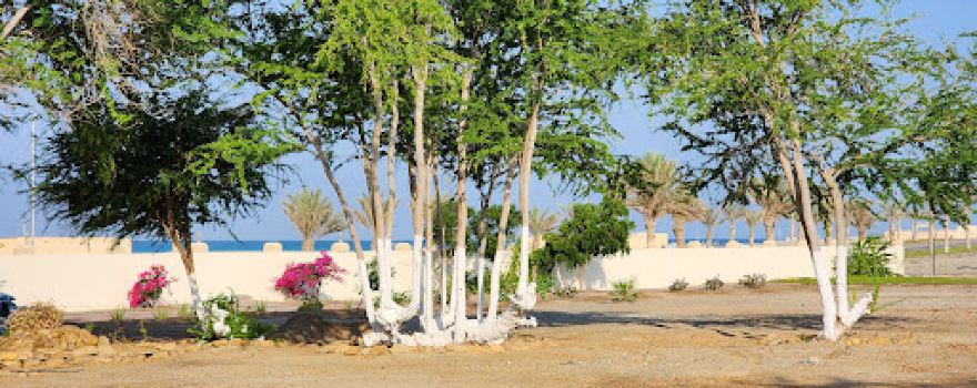 Al Shamkaiah park