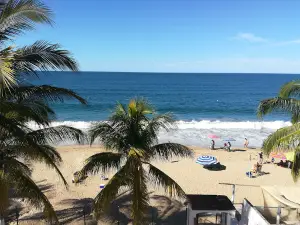 PEZ VELA LOS AYALA NAYARIT