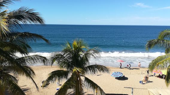 PEZ VELA LOS AYALA NAYARIT