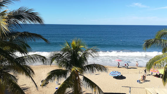 PEZ VELA LOS AYALA NAYARIT