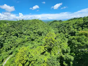 Liberty Terrestrial Park(Pheschem)