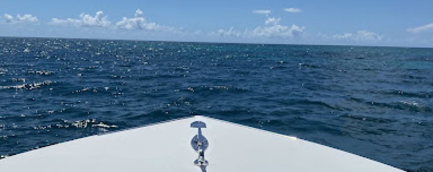 M and M Fishing Charters
